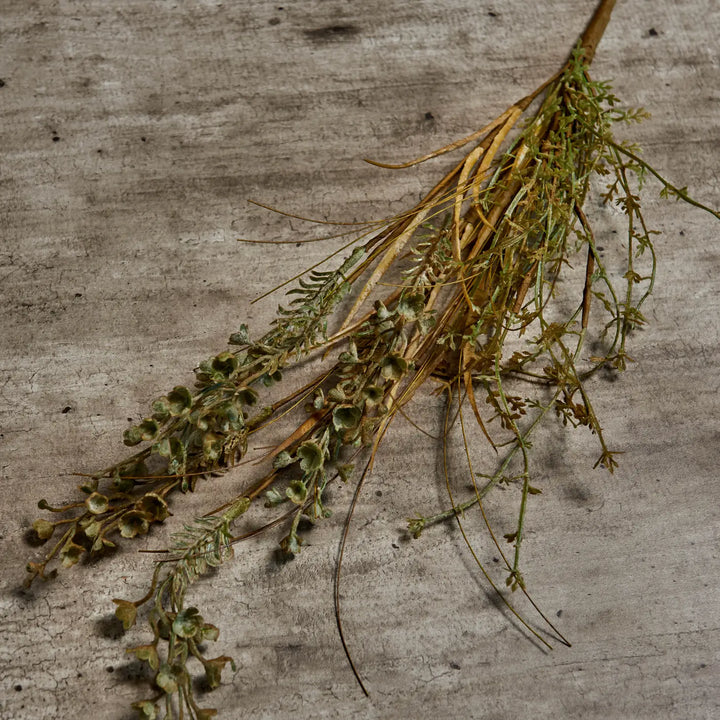 Blackened Buck Grass Stem