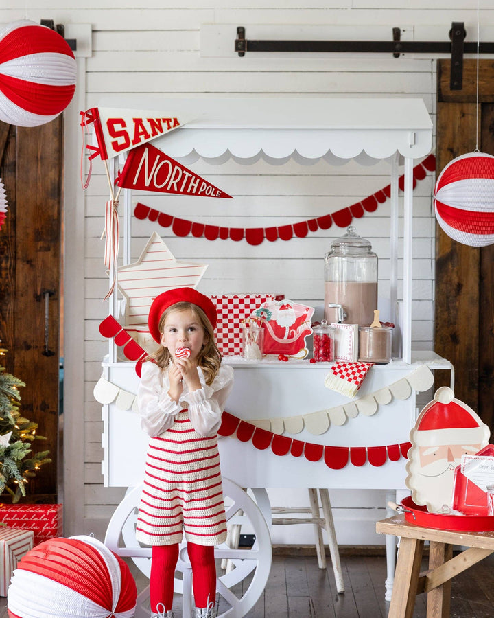 Santa Felt Pennant Flag