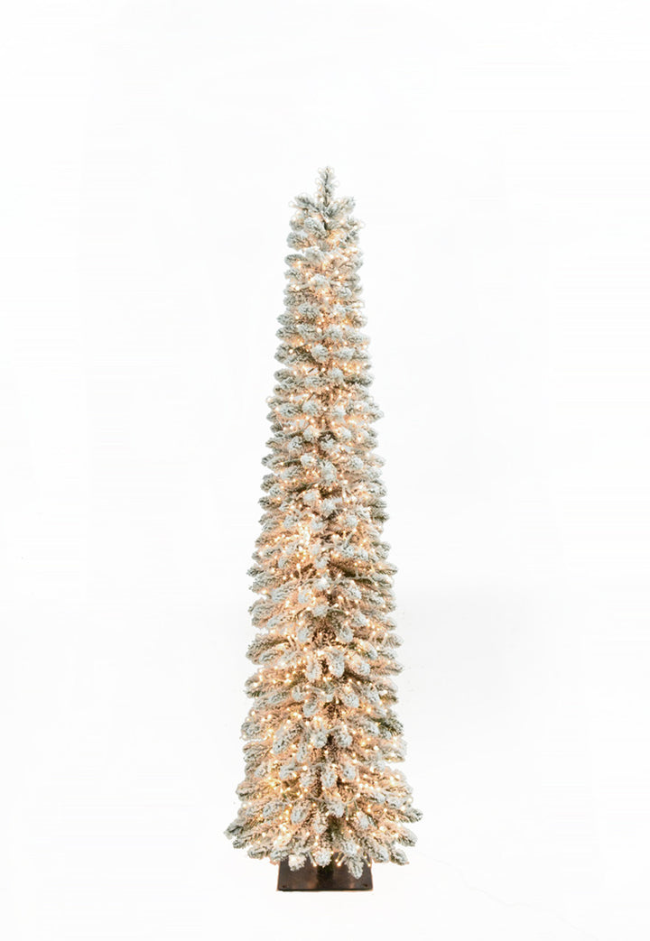 Snowy Pencil Alpine Tree