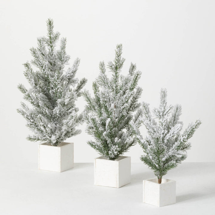 Snowy Pine Tree in White Wooden Box