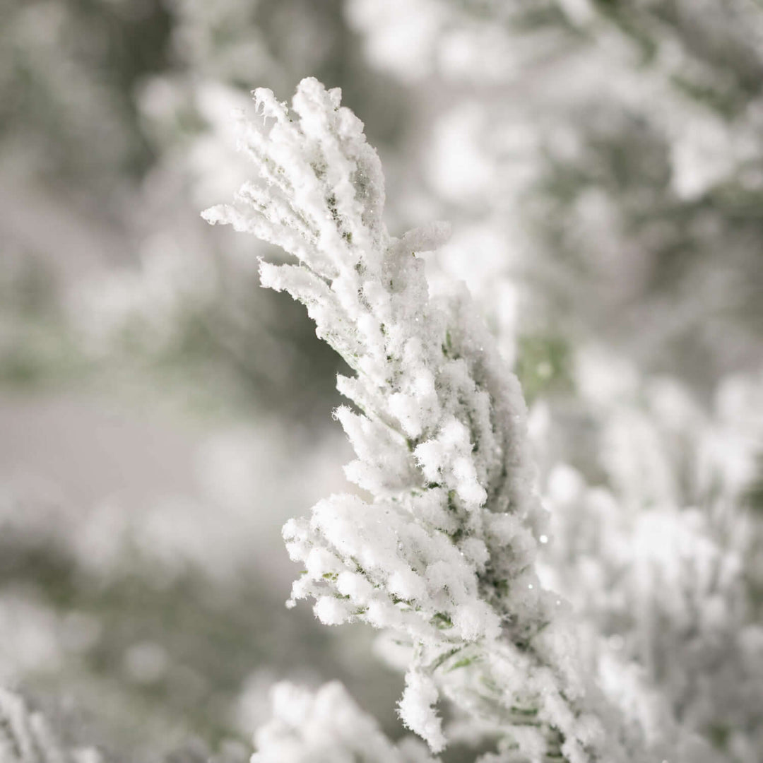 Snowy Pine Tree in White Wooden Box