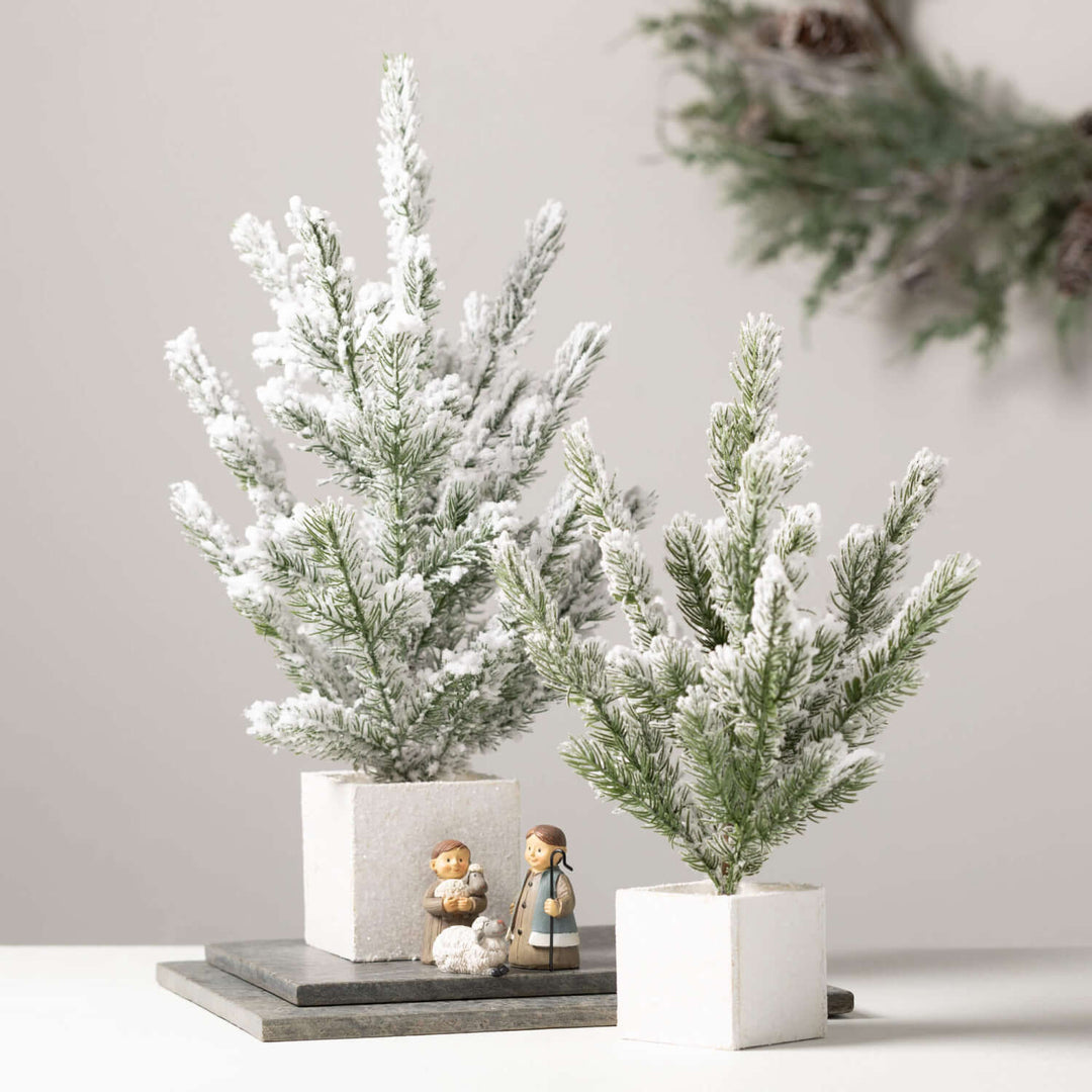 Snowy Pine Tree in White Wooden Box